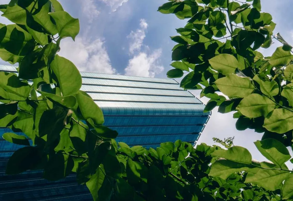Planting integrated into a modern building